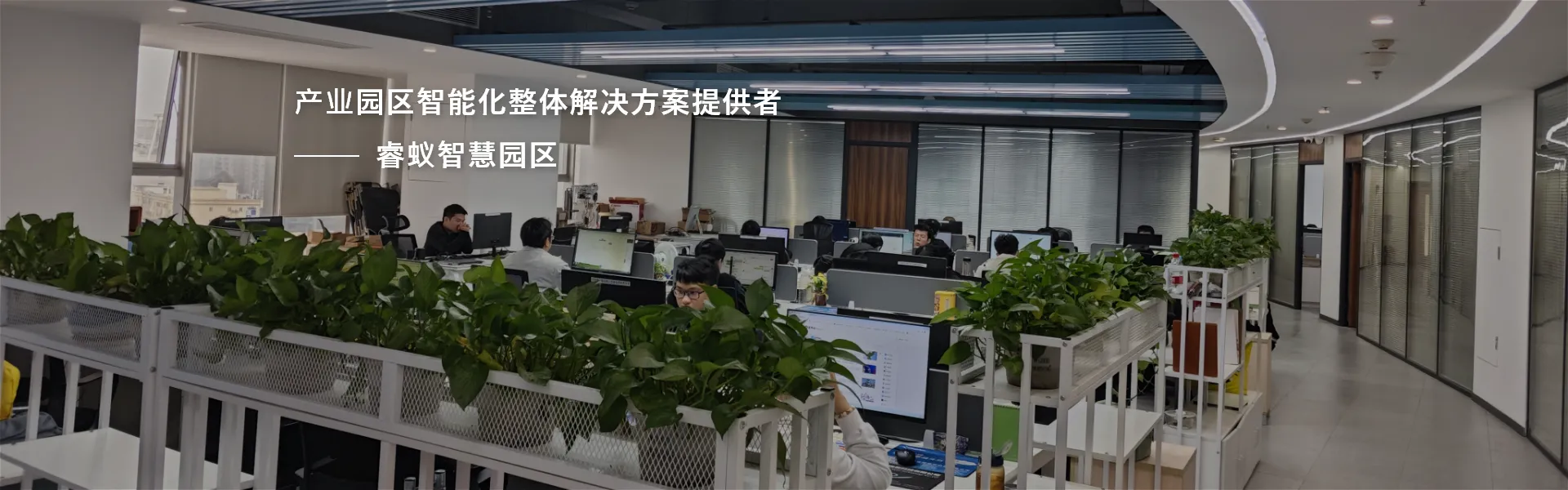 关于睿蚁大图